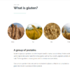 What is gluten